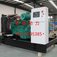 康明斯天然气发电机组 90kW