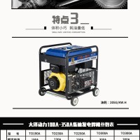 大泽动力400A柴油发电电焊机