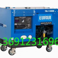 原装进口柴油发电机TDL11000E