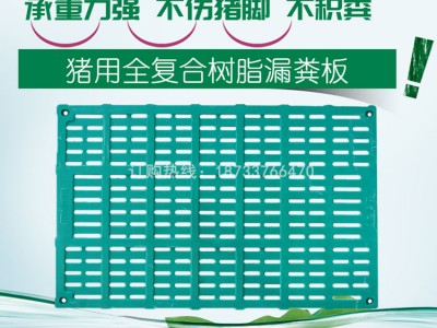 猪用全复合漏粪板 猪圈板猪床板养猪场养殖设备图2