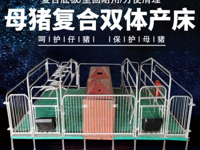 现货母猪产床两用一体保育床分娩双体产床全复合养猪定位栏图2