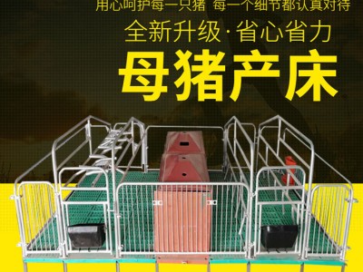 猪用产床全复合母猪产床单体双体产床保育两用养猪设备图2