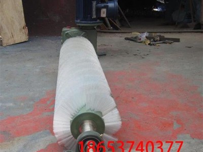 无动力 被动滚刷清扫器 毛刷清扫器 毛刷辊图3