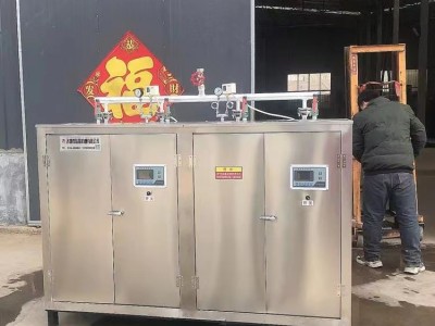 电加热蒸汽发生器图2